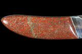 Pocketknife With Fossil Dinosaur Bone (Gembone) Inlays #86540-3
